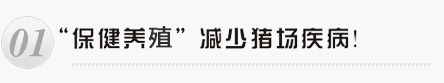 保健養豬減少豬場疾病